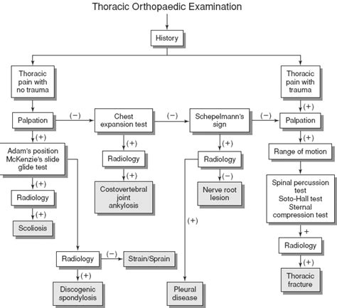 thoracic orthopedic tests